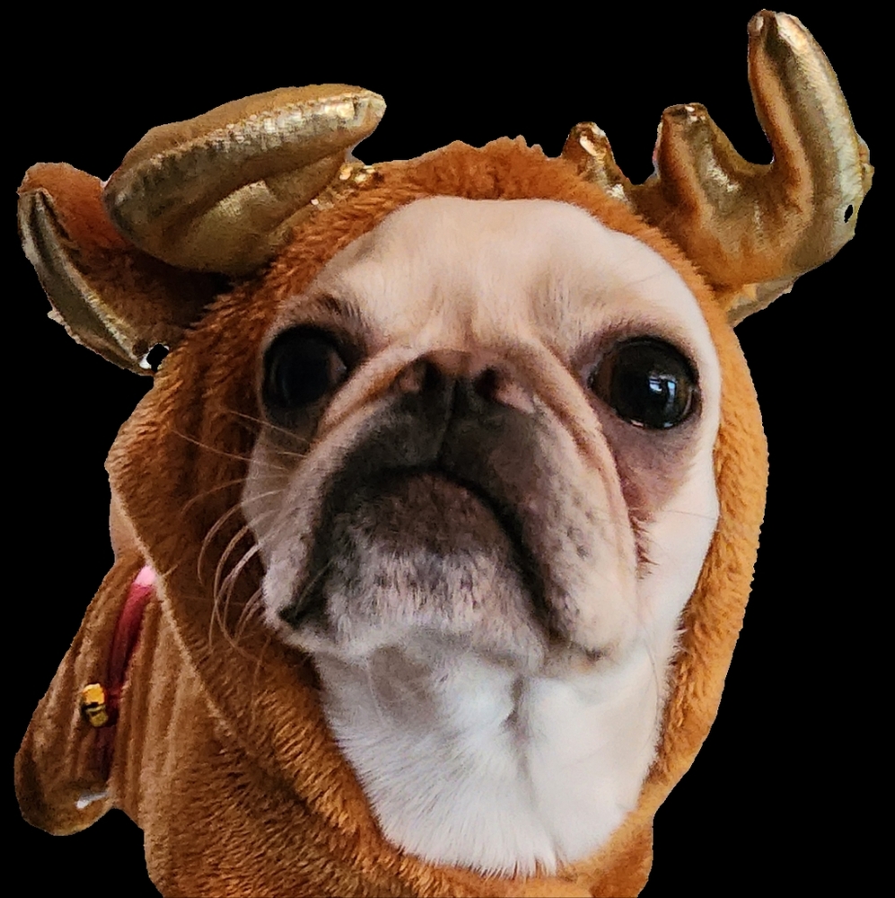 Meet your Posher, Ruby